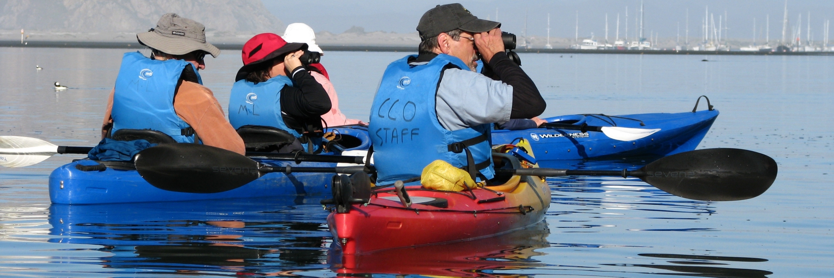 Kayak Tours Morro Bay & Central Coast California